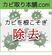 カビ取り本舗.com